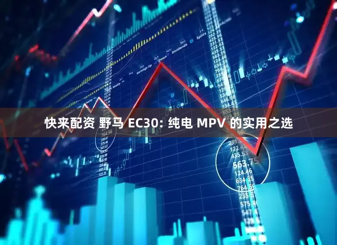 快来配资 野马 EC30: 纯电 MPV 的实用之选