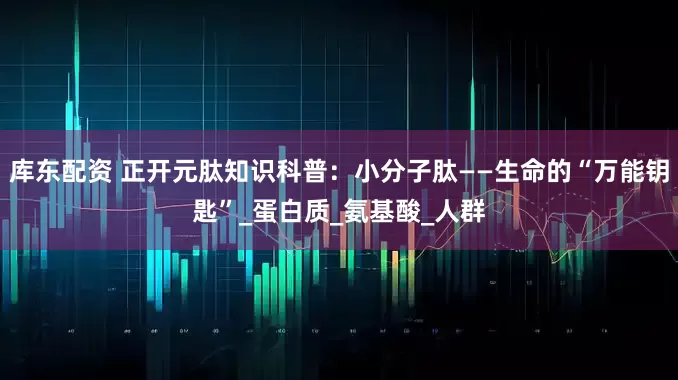 库东配资 正开元肽知识科普：小分子肽——生命的“万能钥匙”_蛋白质_氨基酸_人群