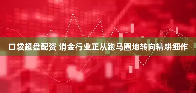 口袋超盘配资 消金行业正从跑马圈地转向精耕细作